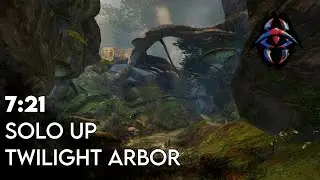 Gw2: Twilight Arbor Up Solo | Revenant | 7:21