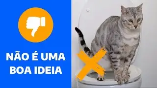 POR QUE N&Atilde;O &Eacute; RECOMENDADO GATO USAR O VASO SANIT&Aacute;RIO?