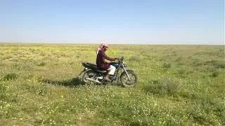 ربيع جزيره نينوى