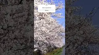 Spring  Season in Japan 🌸. #reelsvideo #music l #shorts #shortsviral #reels #reel #japan