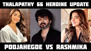 Thalapathy 66 Heroine Update | Rashimika | Pooja Hegde | Notify 360