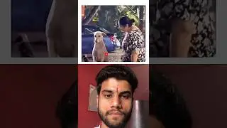 This Poor Animal Needed Help&hellip; 😢💔 | Heartwarming Rescue #shorts #youtubeshorts #shortsfeed