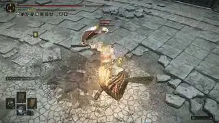Ew dueling shield