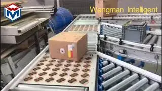 Intelligent Sorting Conveyor System/Roller Conveyor System