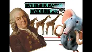 Early Ideas about Evolution #FiveMinExplain