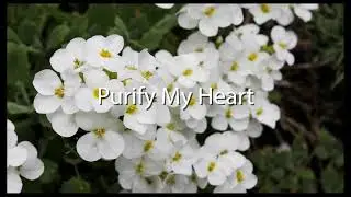 1 Song 1 Hour | Peaceful & Relaxing Piano Music | Purify My Heart