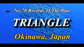 Triangle | Okinawa | Underwater Film | Relaxing Music #okinawa #japan #diving #오키나와 #일본 #다이빙 #여행 #沖縄