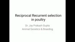 Reciprocal Recurrent Selection in Poultry