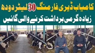 Best Cow For Dairy Farming | Low Budget Dairy Farm
