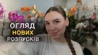 Огляд нових РОЗПУСКІВ орхідей🌿🌸#orchid #орхидея #орхідеї #обзорорхидей #цветущиеорхидеи #flowers 
