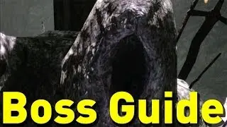 &hearts; Dark Souls 2 - The Last Giant Boss Guide - Melee & Ranged PoV