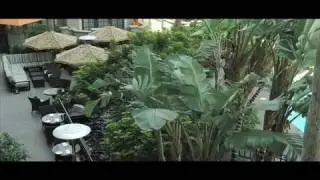 Fairmont Miramar Hotel and Bungalows, Santa Monica, California