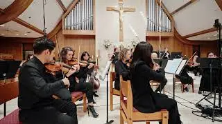 Beethoven Symphony No.1 - first movement       Vergilius Chamber Orchestra