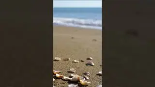 Gentle Sea Waves 🌊 Relaxing Ocean Sounds for Deep Sleep & Calm Mind