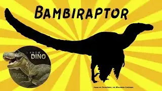 Бэмбираптор: Динозавр дня