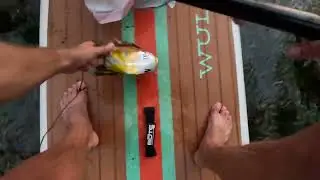 Paddle Board Trash Pickup, Town Lake, Austin TX, September 26, 2022 - GoPro Hero 11