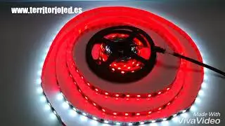 WS2811 RGB LED Strip -  Tira de LED RGB Digital Magic WS2811 5050 IP20