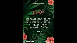 Tropicales De Los 90 Vol 2 (DJ Santy Z)