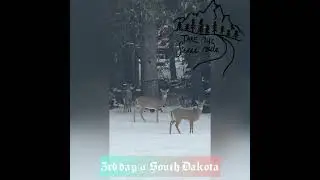 A Magical Road Trip Through South Dakota | Hill City to Spearfish Canyon 🏔️❄️
