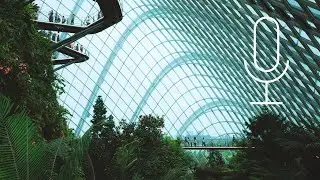 Episode 6: Understanding ESG ratings featuring CDP and CDPQ