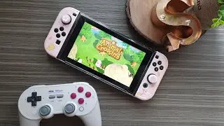 UNBOXING : 8BitDo SN30 Pro + Gamepad for my Switch