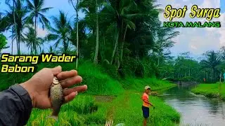 Spot Mancing Paling recommended Di Malang ‼️