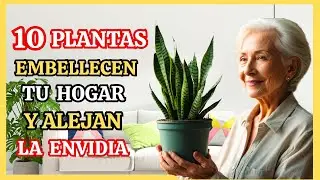 10 PLANTAS  que Atraen Belleza y ALEJAN  MALAS  Energías de tu CASA