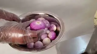 Onion Peeler - Kalindee Engineering