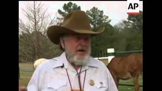 As a line of horseback riders move down a Texas service road, workers from area businesses wave and