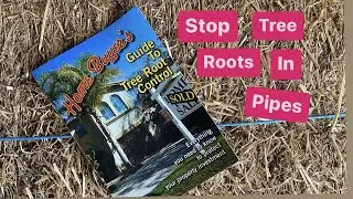 Before you buy that house, the drains are blocked by tree roots.