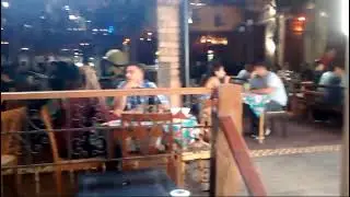 Canarinho E Colibri Cantando Pronto Falei