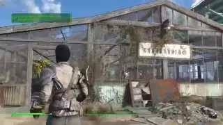 Fallout 4 - Graygarden