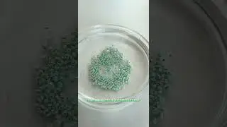 Seed pellet machine/seed processing machine/seed coating machine #machine #Seed #seeder #pellet