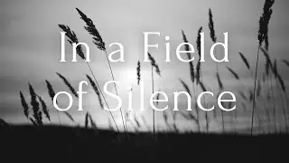 Michael Kim-Sheng - In a Field of Silence
