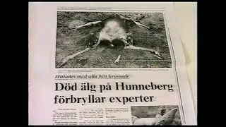 Intermezzo - UFO-Observationer Runt Trollhättan Del 1(Trollhättans LokalTV 1994)
