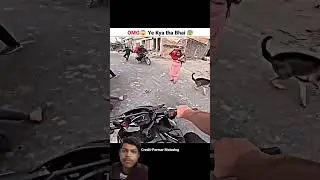 #shorts // dogesh bhai //#kawasaki #shortsfeed #rider #accident #rs200 #crash#truck thanks 111k #dog