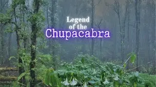 Легенда о Чупакабре