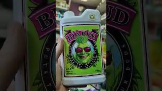 Big Bud Advanced Nutrients, мощнейший стимулятор цветения