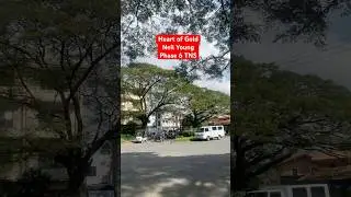 Heart of Gold by Neil Young | Tierra Nevada Subdivision | #youtubeshorts #&rsquo;music #cavite