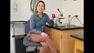 Onion Cells Wet Mount in Distilled and Salt Water