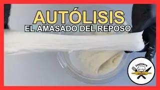 AUTOLISIS