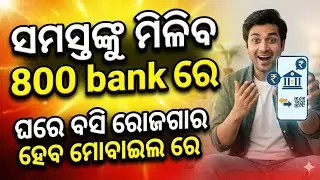 800 Bank Offer Odia | ଘରେ ବସି Mobile ରେ ରୋଜଗାର |Odia Dream Money|Odia Earning Video | Work from Home