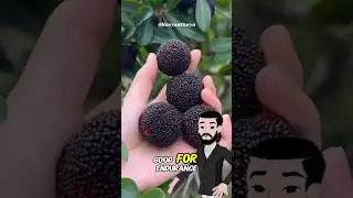 This Is Yangmei! The Benefits Are Absolutely Wild!&rdquo; #shortviral#Yangmei#FruitBenefits#Shorts#fyp