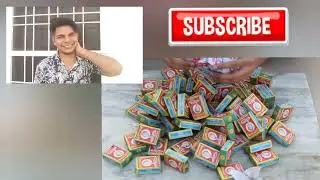 आप देख कर चौक जाएंगे जब 1000 SNAKE BOMBS (सांप की गोलियों) को एक साथ चलाया जाता है