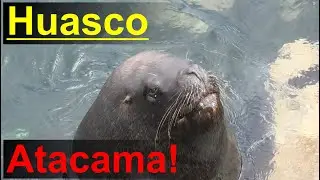 Huasco, Región de Atacama