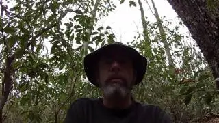 Turtle Tracks and Rat Snake Tracks Winter 2015 Field Report