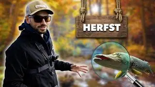 CATCH MORE PREDATOR FISH IN THE FALL WITH THESE TIPS!