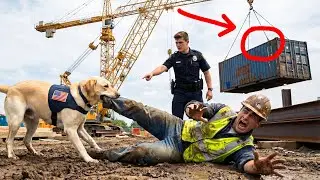 No One Understood What Scout Was Doing… Until the Crane Failed
