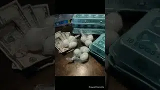 Eggs for sale! 🥚#egg #eggs #sale #food