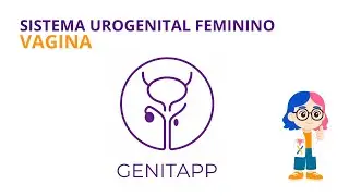 VAGINA | SISTEMA UROGENITAL FEMININO | GENITAPP